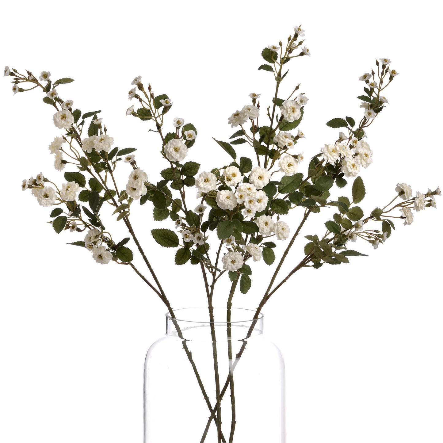 Wild Meadow Rose White