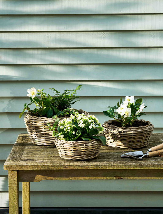 Kingscote Rattan Plant Bowl