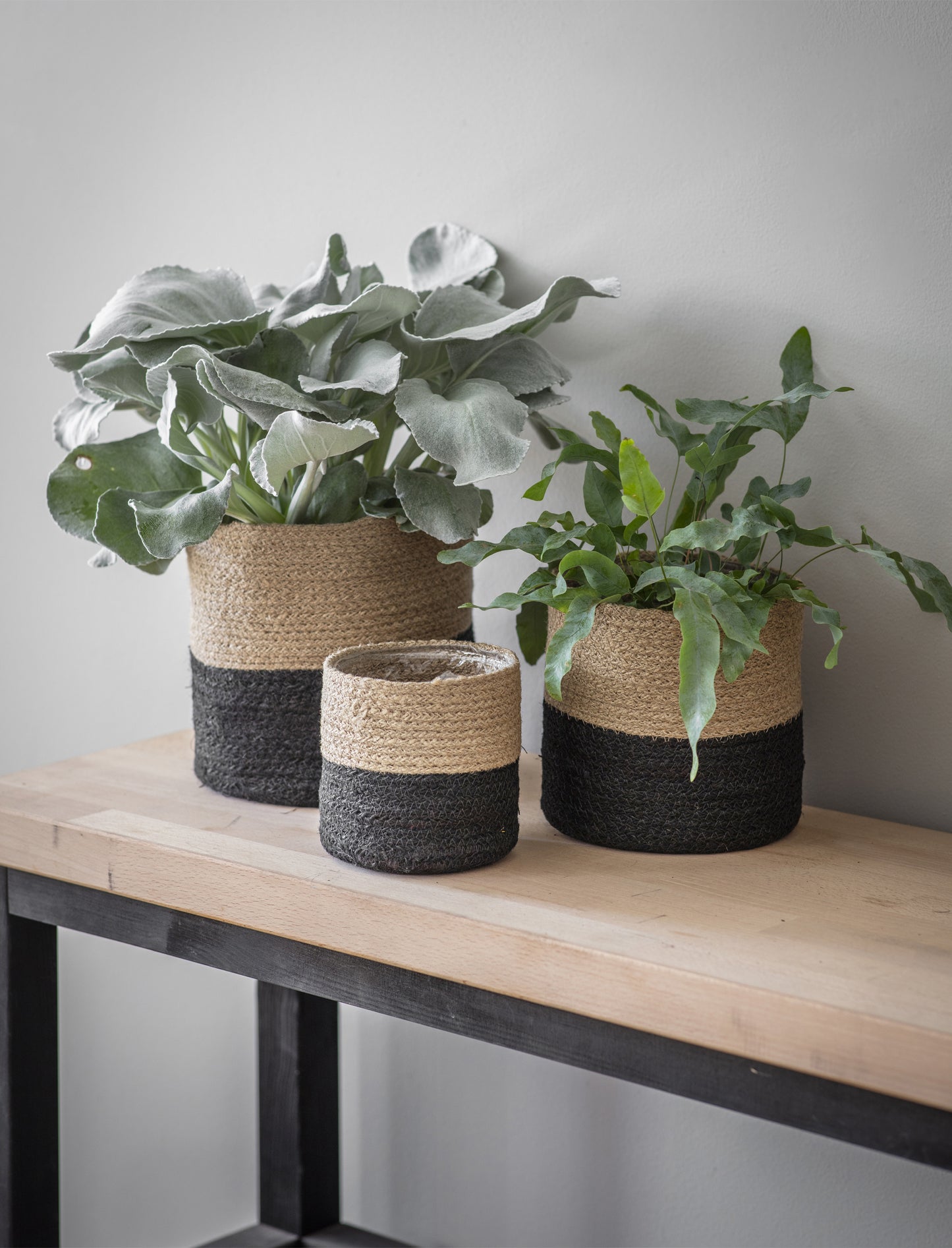 Jute Striped Pots (Set of 3) Black & Natural