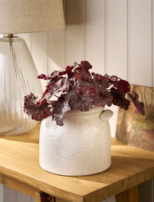 Ravello Pot with Handles 21cm White